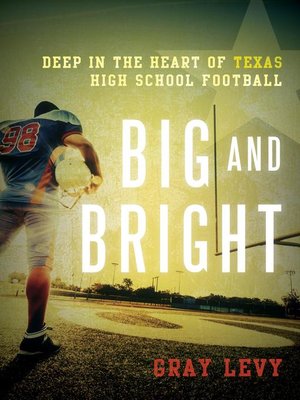 cover image of Big and Bright